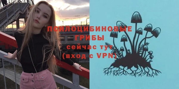 соль ск Няндома