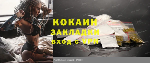 крисы Армянск