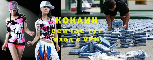 крисы Армянск