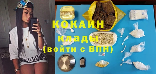 амф Арсеньев