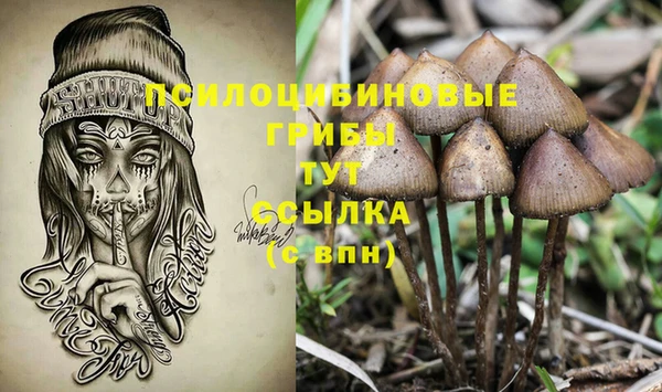 амф Арсеньев