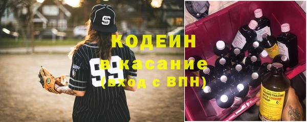 крисы Армянск