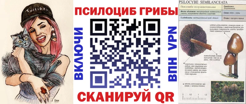 где найти наркотики OMG как войти Псилоцибиновые грибы GOLDEN TEACHER Дыгулыбгей